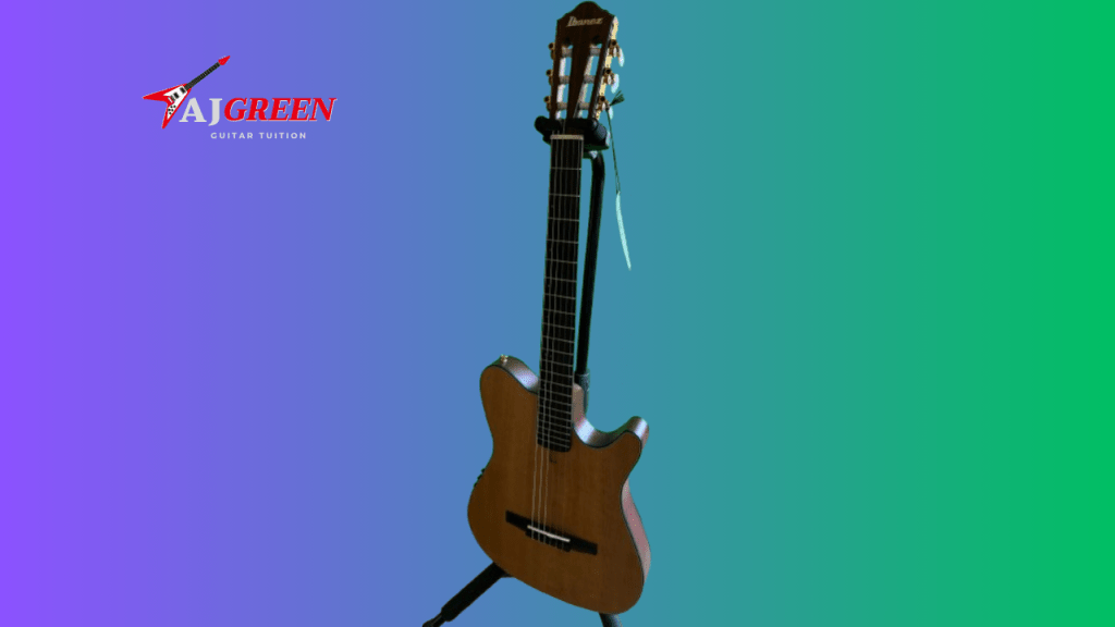 Ibanez Guitar Review 